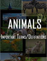 books for kids, about animals, ebooks about animals, ebooks for kids, kindle books